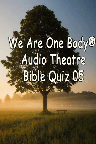 Bible Quiz 05